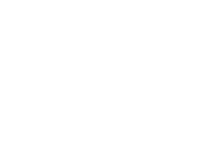 Logo Assemblée nationnale Québec